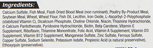 Zoo Med Giant Banquet Block Feeder placed in dish for simple fry feeding.