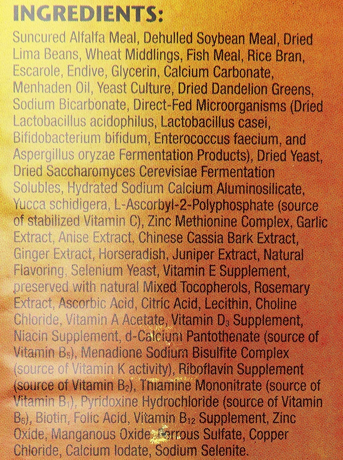 Compact 20-ounce Zoo Med iguana food packaging designed for regular meals.