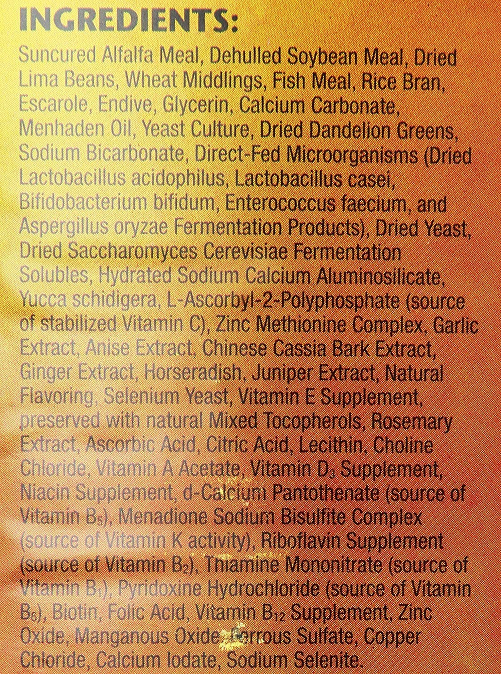 Compact 20-ounce Zoo Med iguana food packaging designed for regular meals.