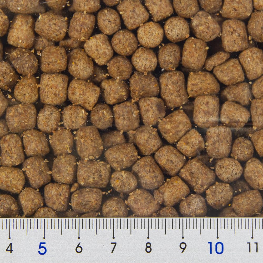 Zoo Med Natural Maintenance hatchling pellets promote healthy rapid growth