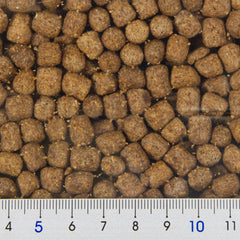 Zoo Med Natural Maintenance hatchling pellets promote healthy rapid growth