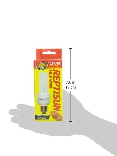 Zoo Med ReptiSun 10.0 Mini basking scene supports natural warmth and UV exposure.