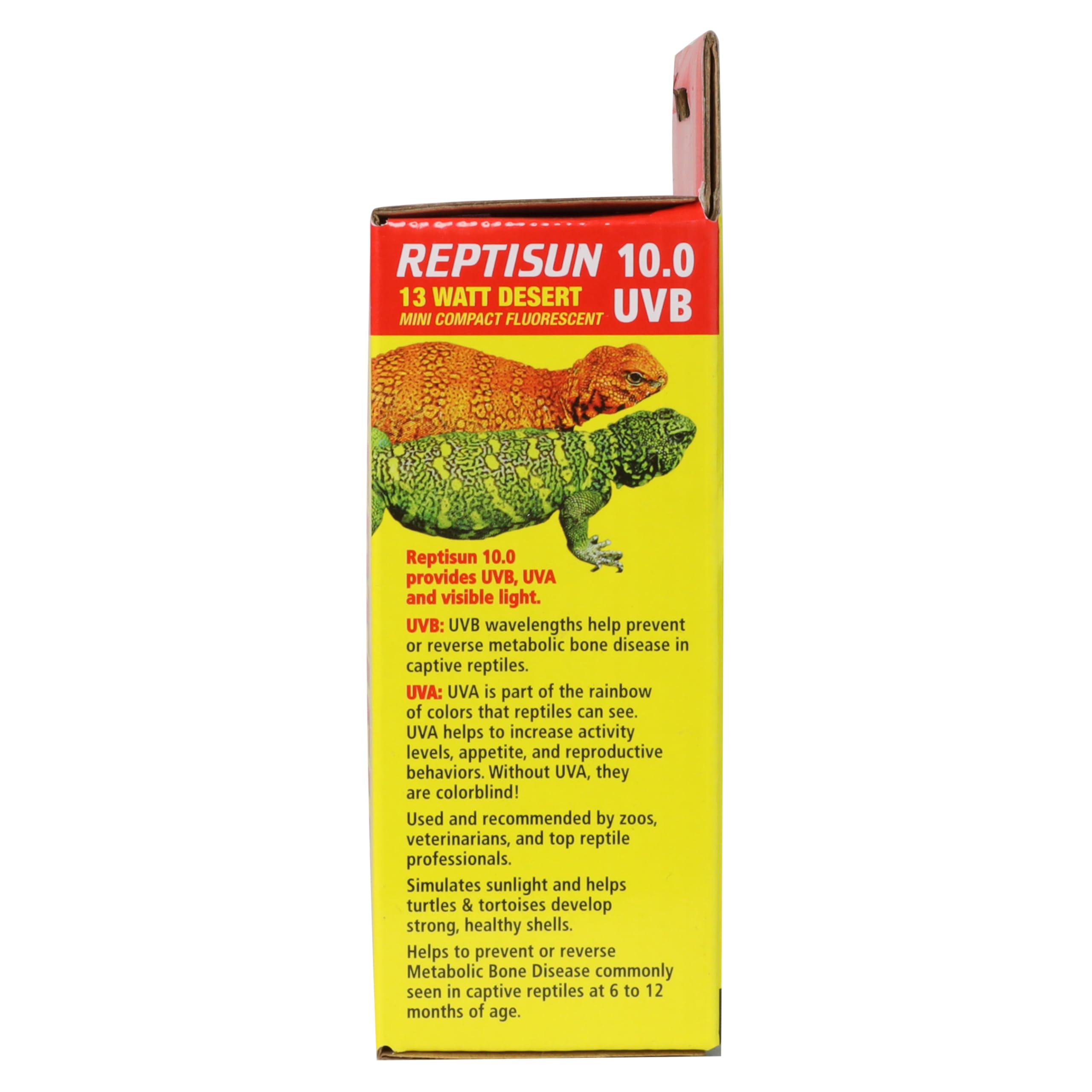 Zoo Med ReptiSun 10.0 Mini in standard E26 socket, versatile mounting.