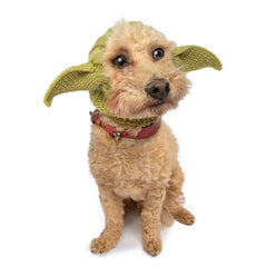 Zoo Snoods Baby Yoda costume on dog for a chilly day warmth