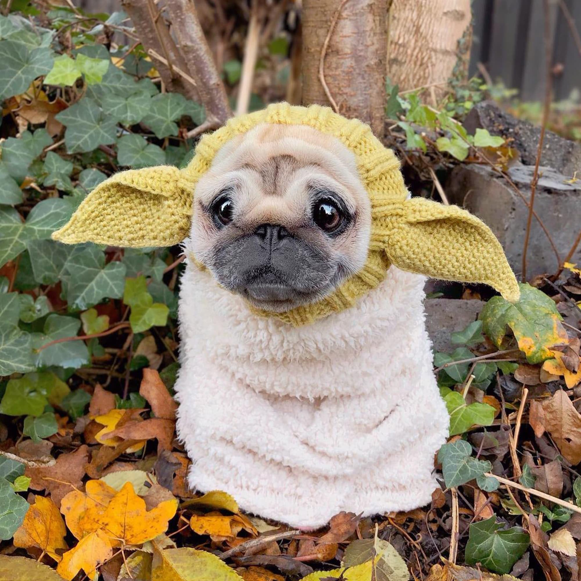 Zoo Snoods Baby Yoda medium fits beagles and corgis securely
