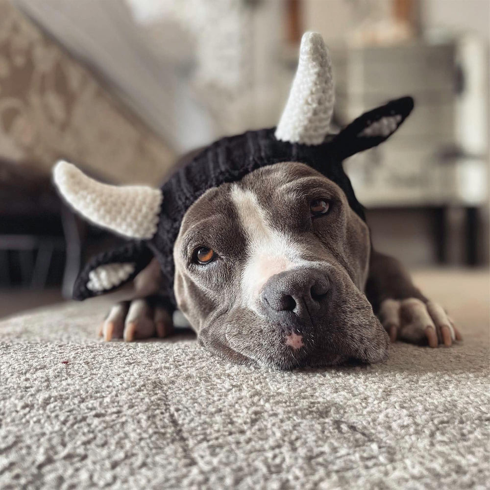 Zoo Snoods Bull Costume dog-portrait-photo-ready suitable for cozy festive wear.