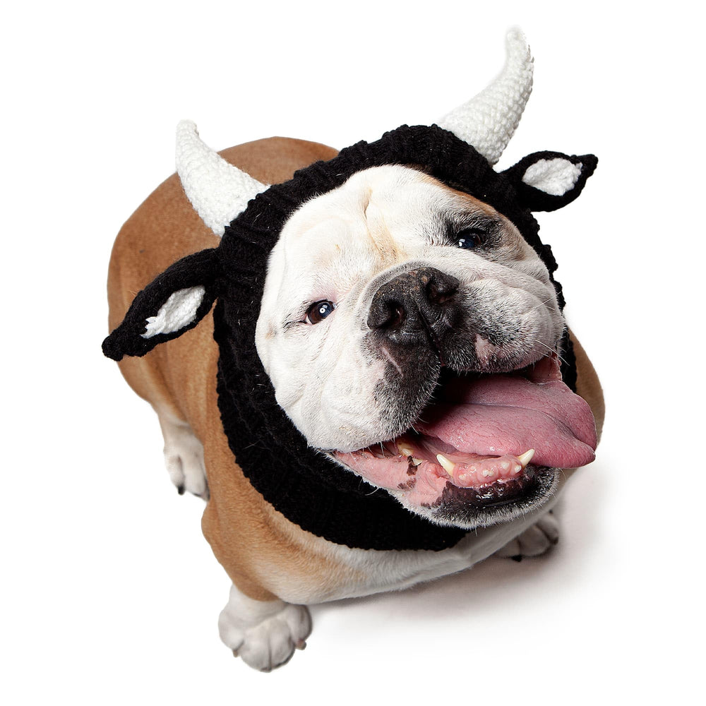 Zoo Snoods Bull Costume dog-wearing-snood keeps neck warm on cold walks.