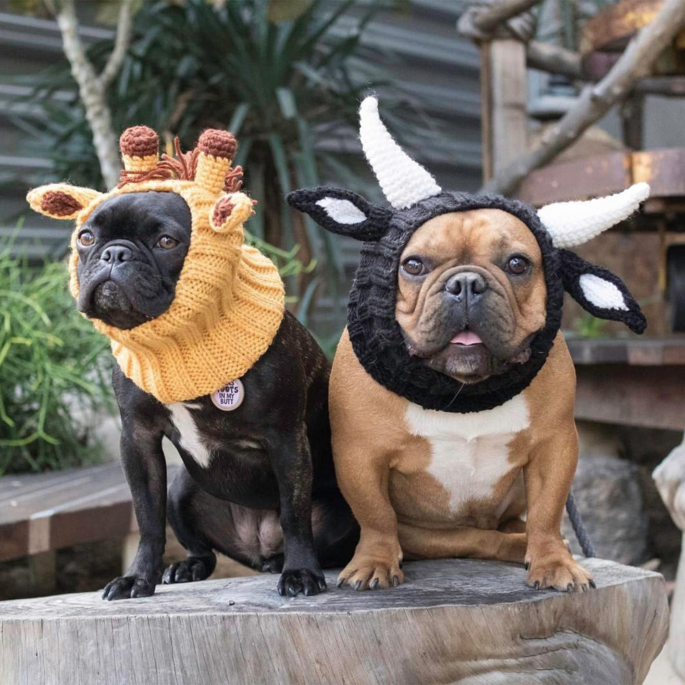 Zoo Snoods Bull Costume halloween-style shot features festive dog look.