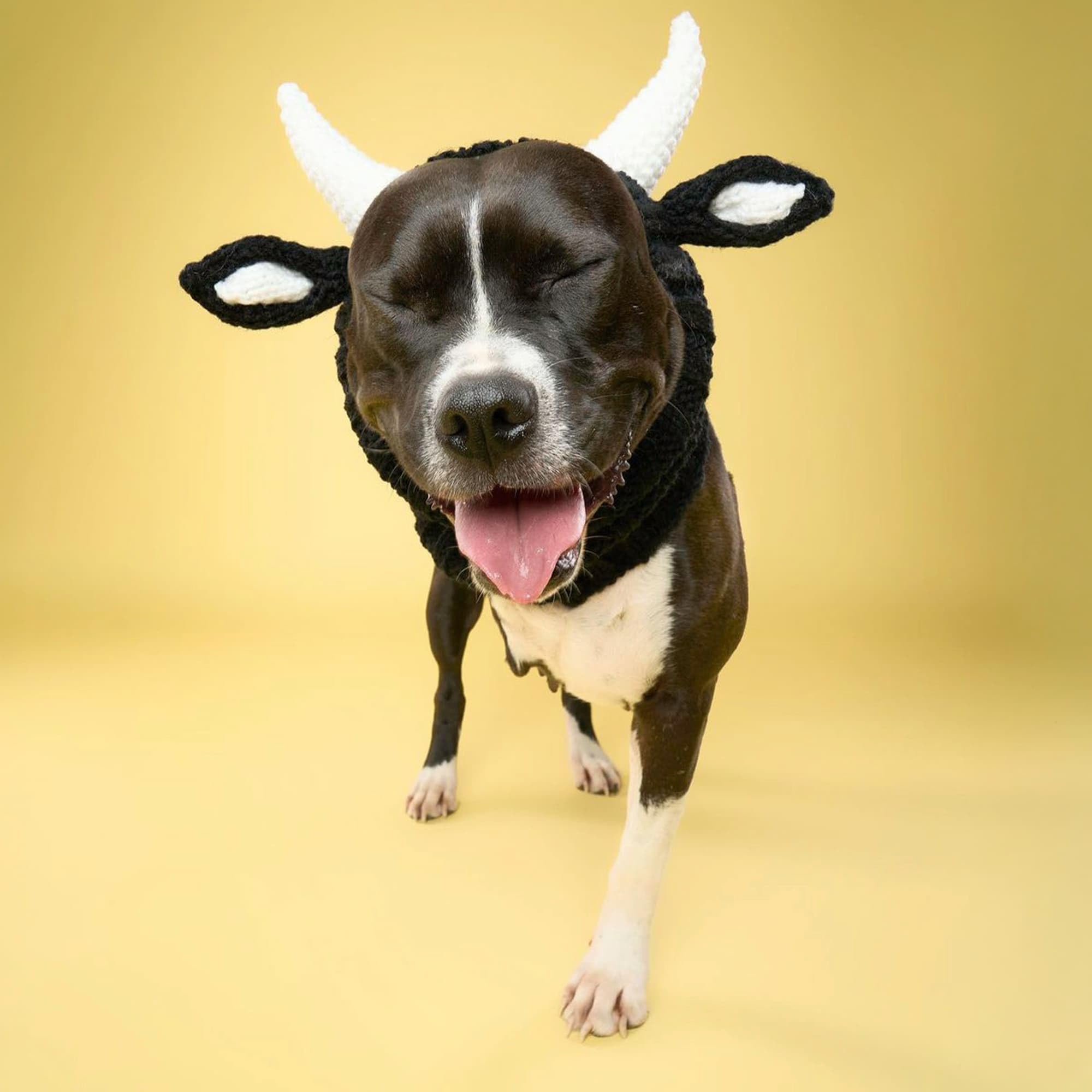 Zoo Snoods Bull Costume soft-stretchy-yarn closeup communicates warmth and comfort.