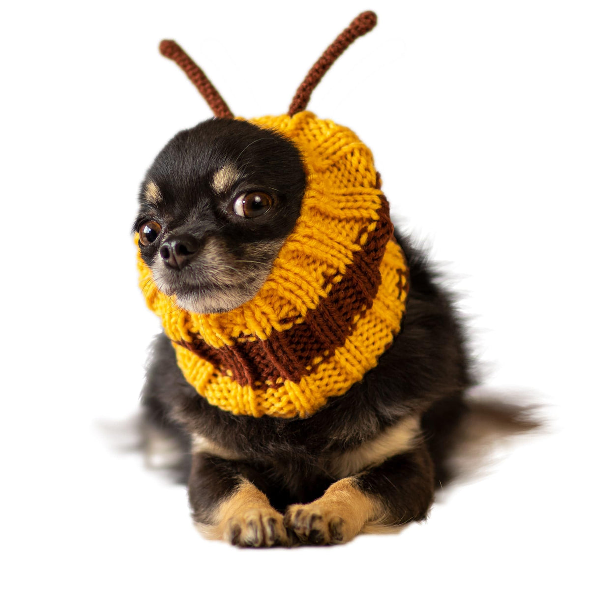 Zoo Snoods Bumble Bee Costume front view showing soft knit warmth for small dogs