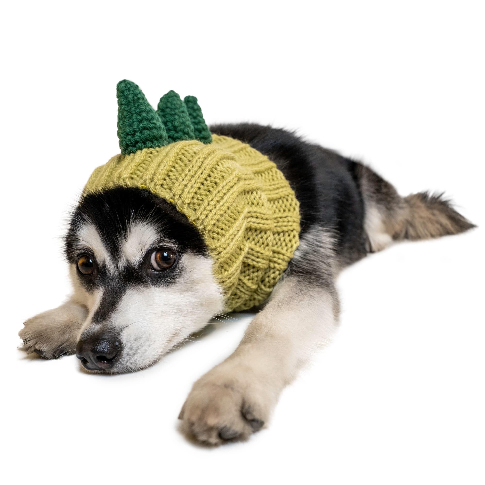 Zoo Snoods Dinosaur Costume knit dog snood for cozy neck warmth