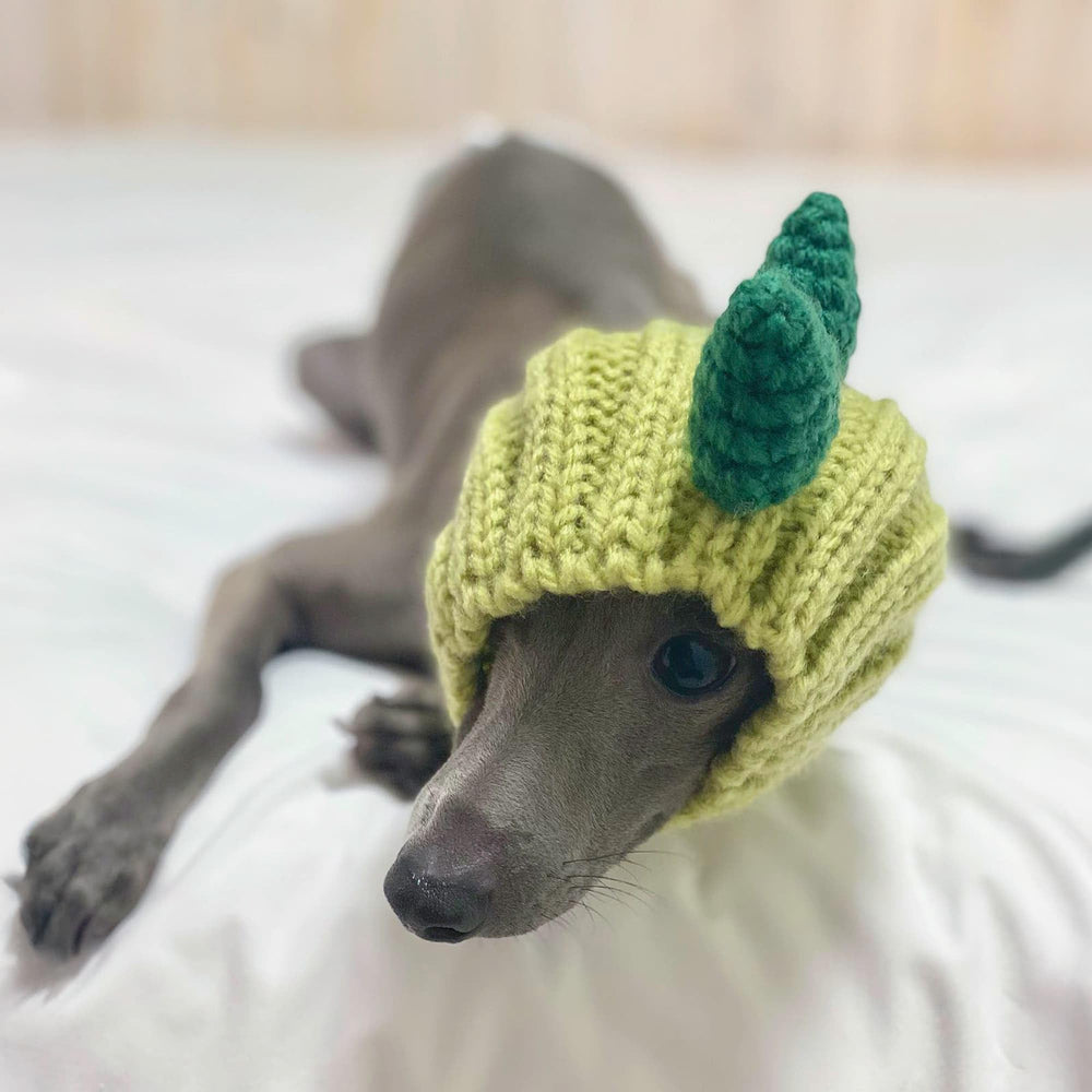 Zoo Snoods Dinosaur Costume package shows gift-ready presentation