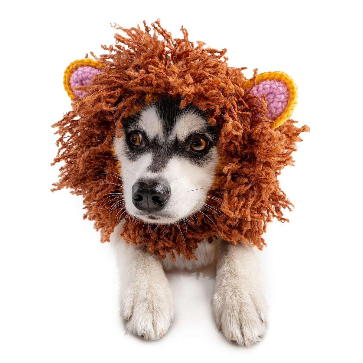 Zoo Snoods Lion Costume knit mane dog snood on a dog for warm, cozy styling
