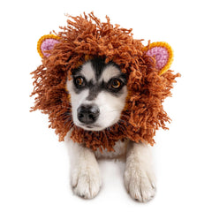 Zoo Snoods Lion Costume knit mane dog snood on a dog for warm, cozy styling