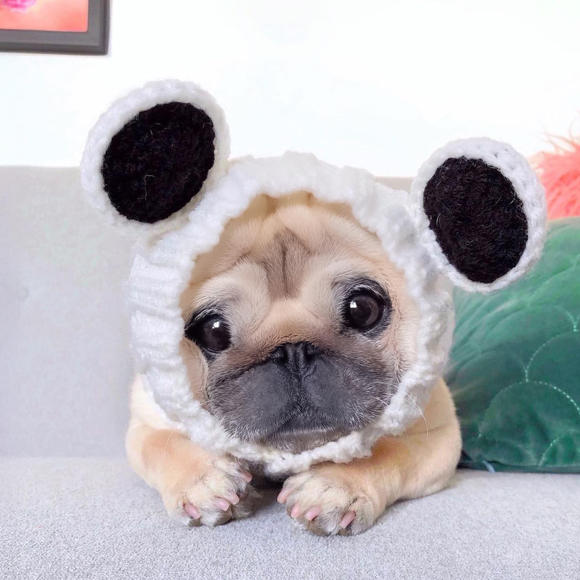 Zoo Snoods Panda Costume Halloween-ready panda look for pets