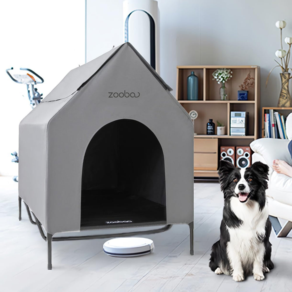 Zooba lifestyle image shows versatile indoor/outdoor use for large dogs.