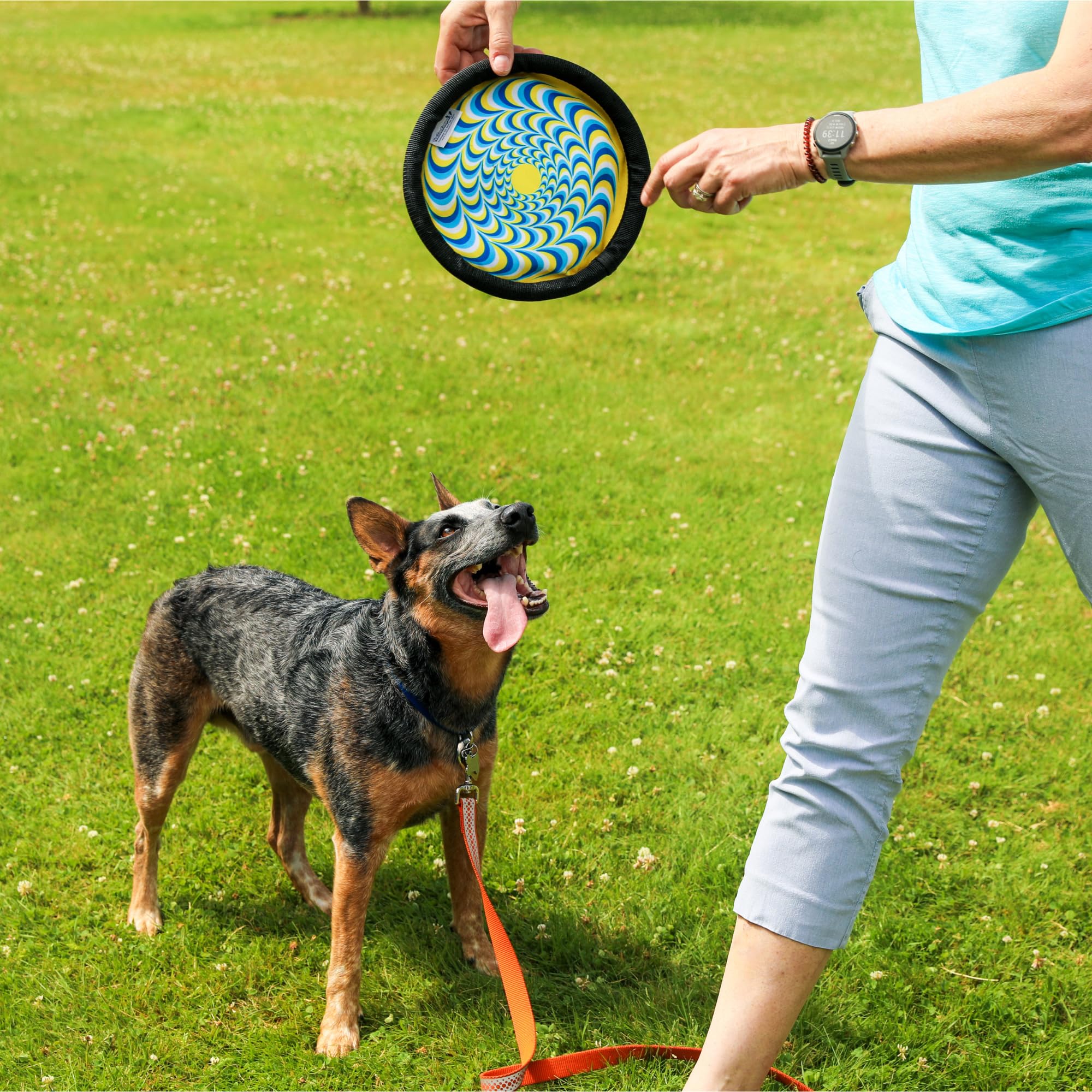 ZooBee flying disc is lightweight and durable for frequent outdoor use.