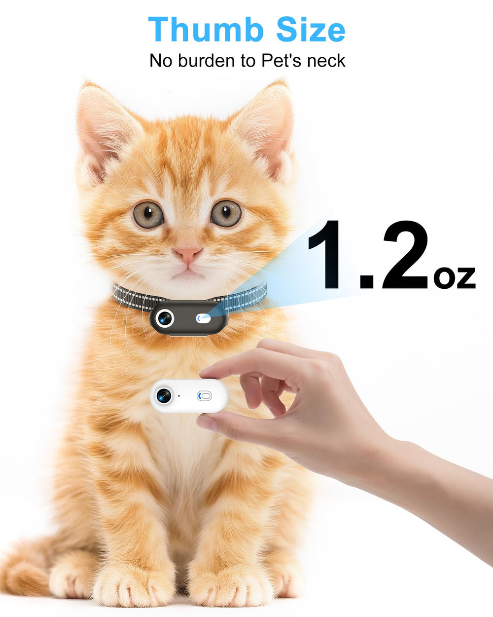 ZoomaraKam collar video download via app or USB.