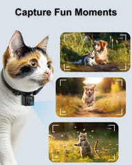 ZoomaraKam night vision view captures nighttime pet explorations