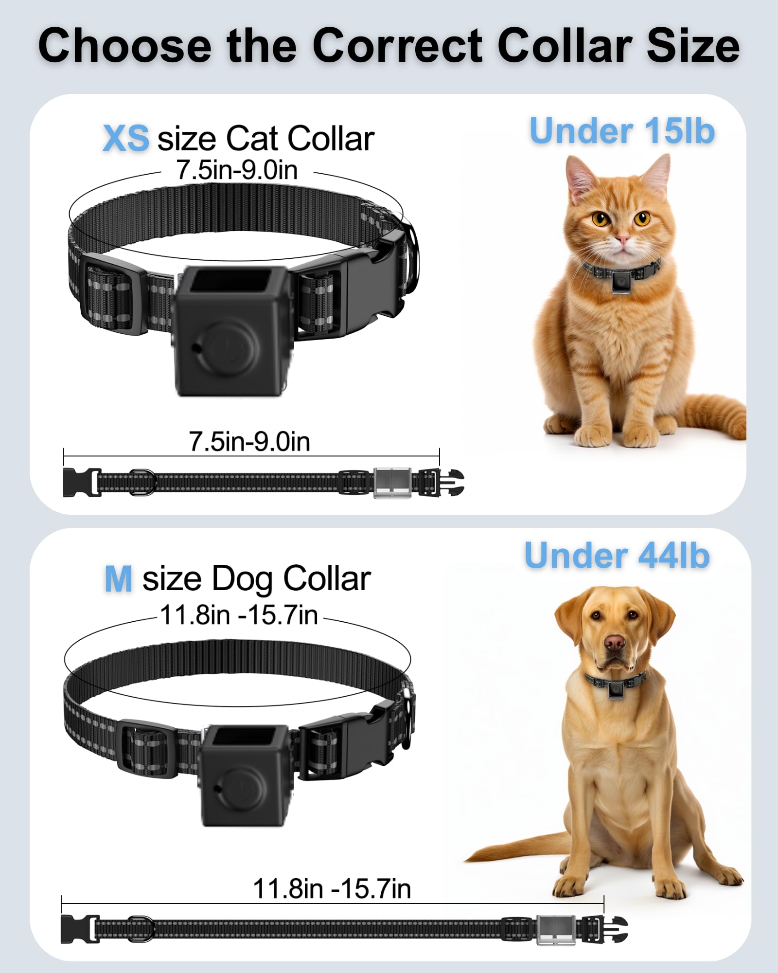 ZoomaraKam pet POV footage in action during play