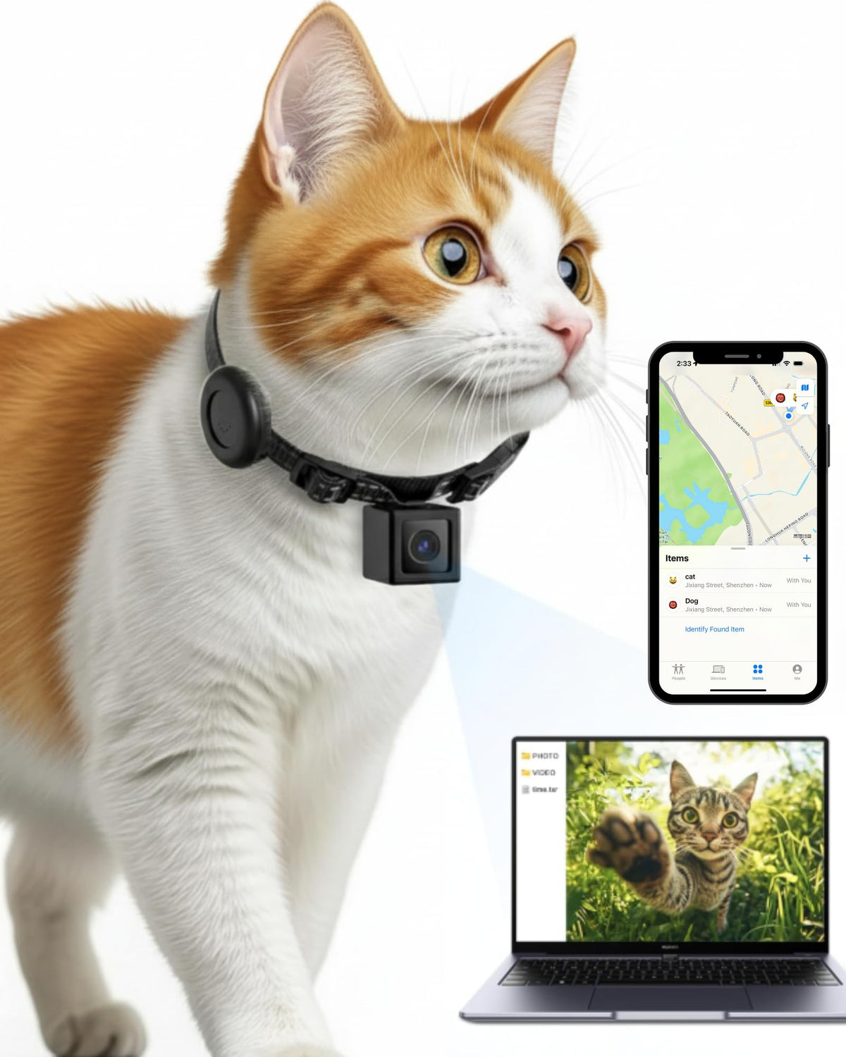 ZoomaraKam cat camera collar worn on a pet for hands-free POV video of daily activity.