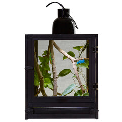 Zoo Med Nano Breeze cage side view showing durable anodized aluminum frame