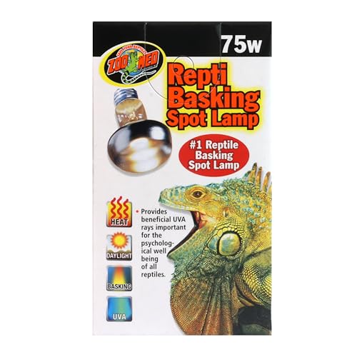 Zoo Med Repti Basking Spot Lamp 75W in-tank shows warm basking area for diurnal reptiles.