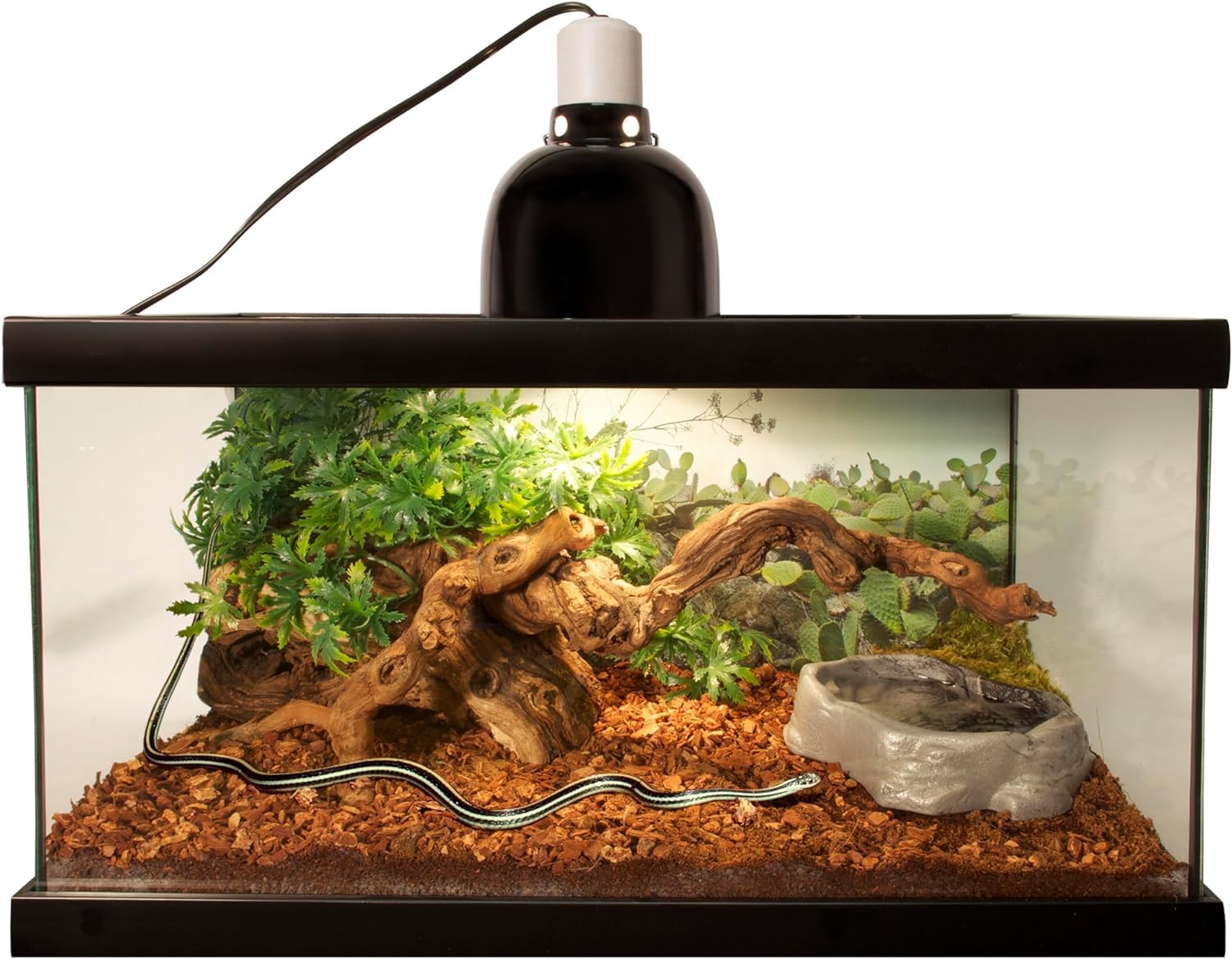 Zoo Med reptile bark fir bedding premium bedding ready for storage