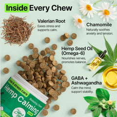 Zoomezen calming chews separation anxiety relief concept image for dogs