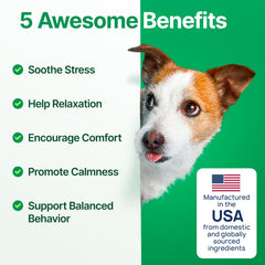 Zoomezen dog calming chews close-up texture showing suitability for anxiety management