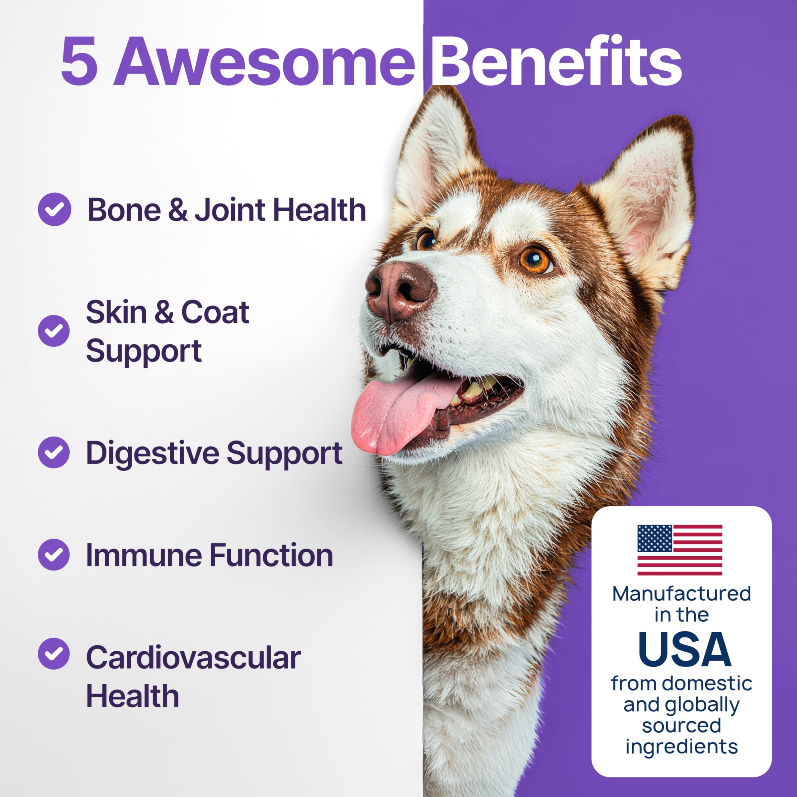ZOOMEZEN dog chews in close-up showing joint comfort and mobility support.