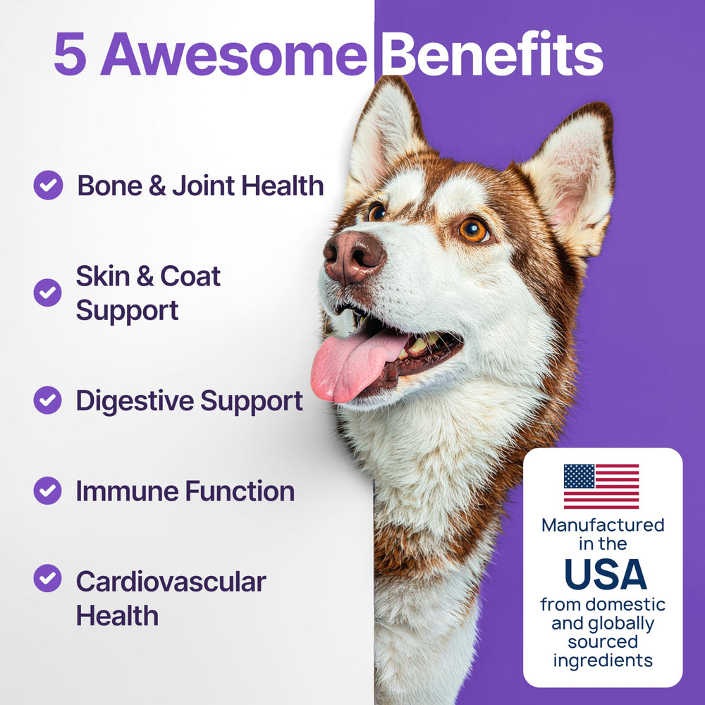 ZOOMEZEN dog chews in close-up showing joint comfort and mobility support.