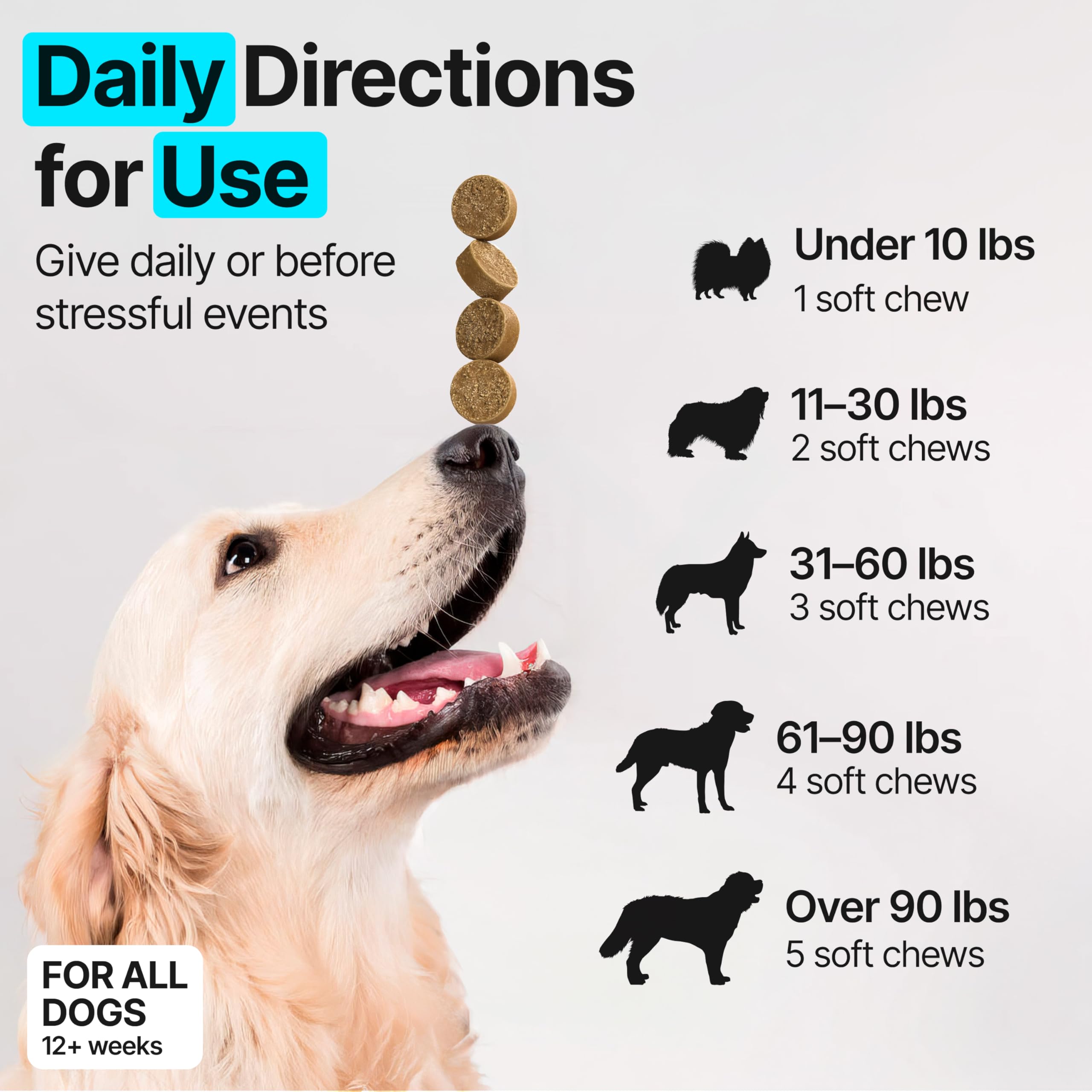 ZOOMEZEN dog probiotic chew close-up promotes digestive balance and gut health.