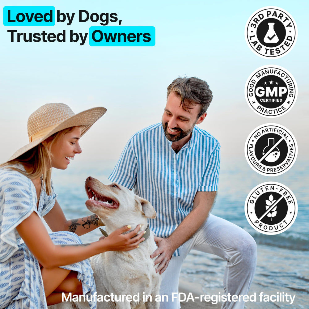 ZOOMEZEN salmon oil supports shiny coat and skin health.