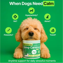 Zoomezen dogs sleep-aid chews close-up texture suggesting nighttime relaxation