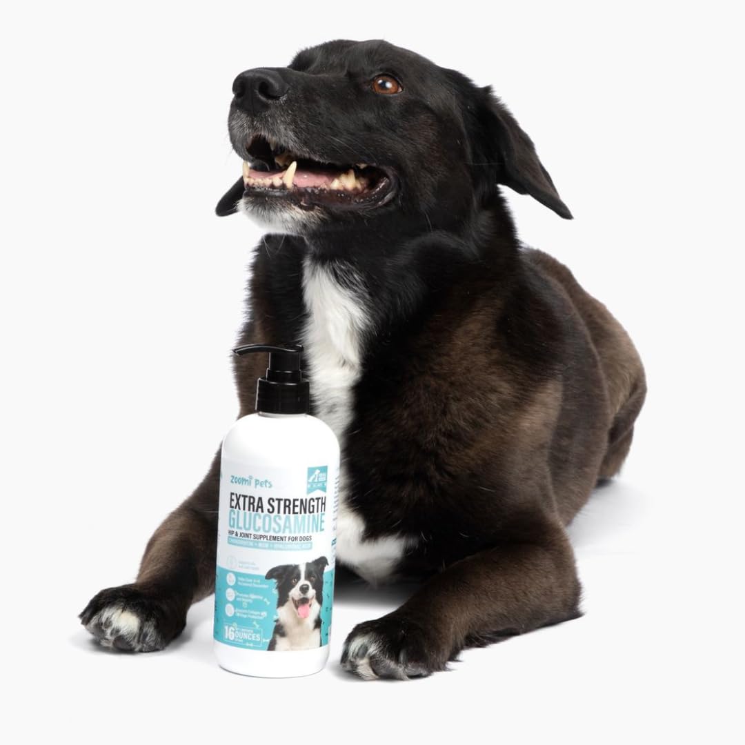 Zoomi Pets liquid glucosamine for dogs measuring dropper for mobility support