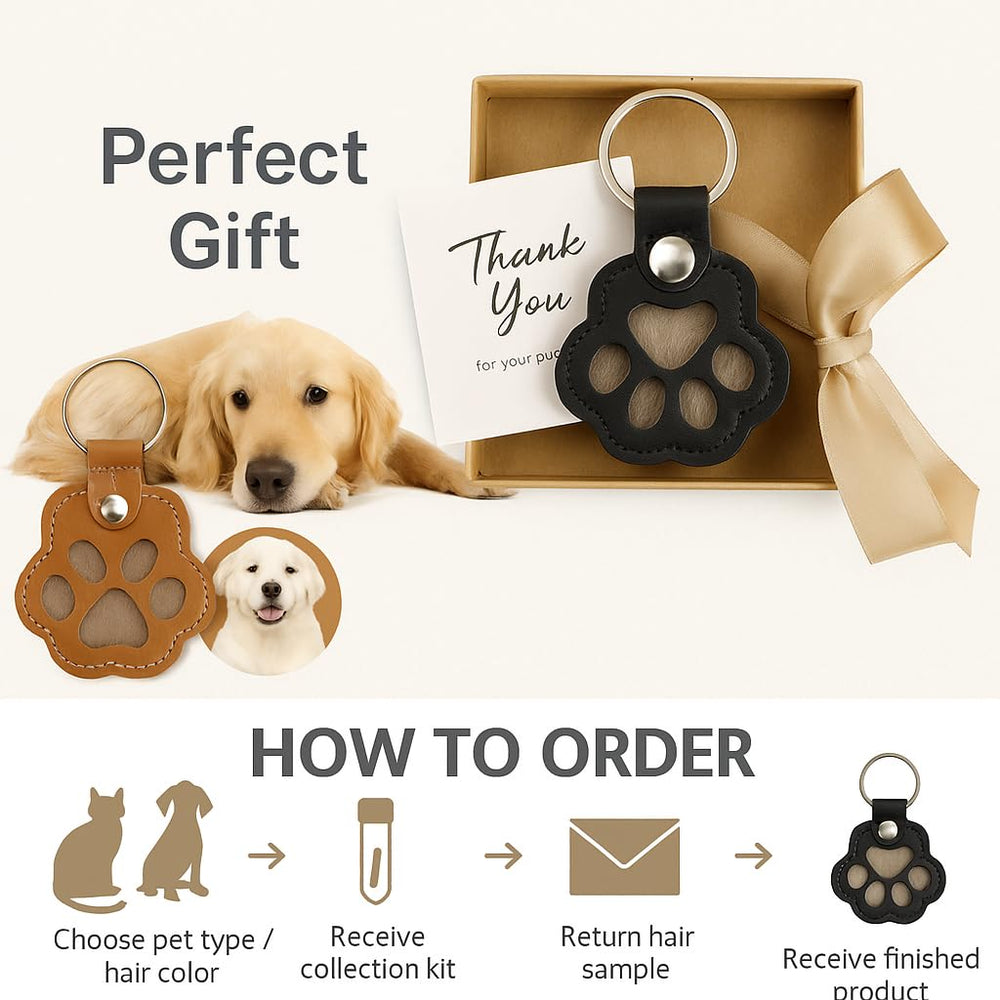 Zoowhale Classic keychain attached to a dog collar for portable memorial