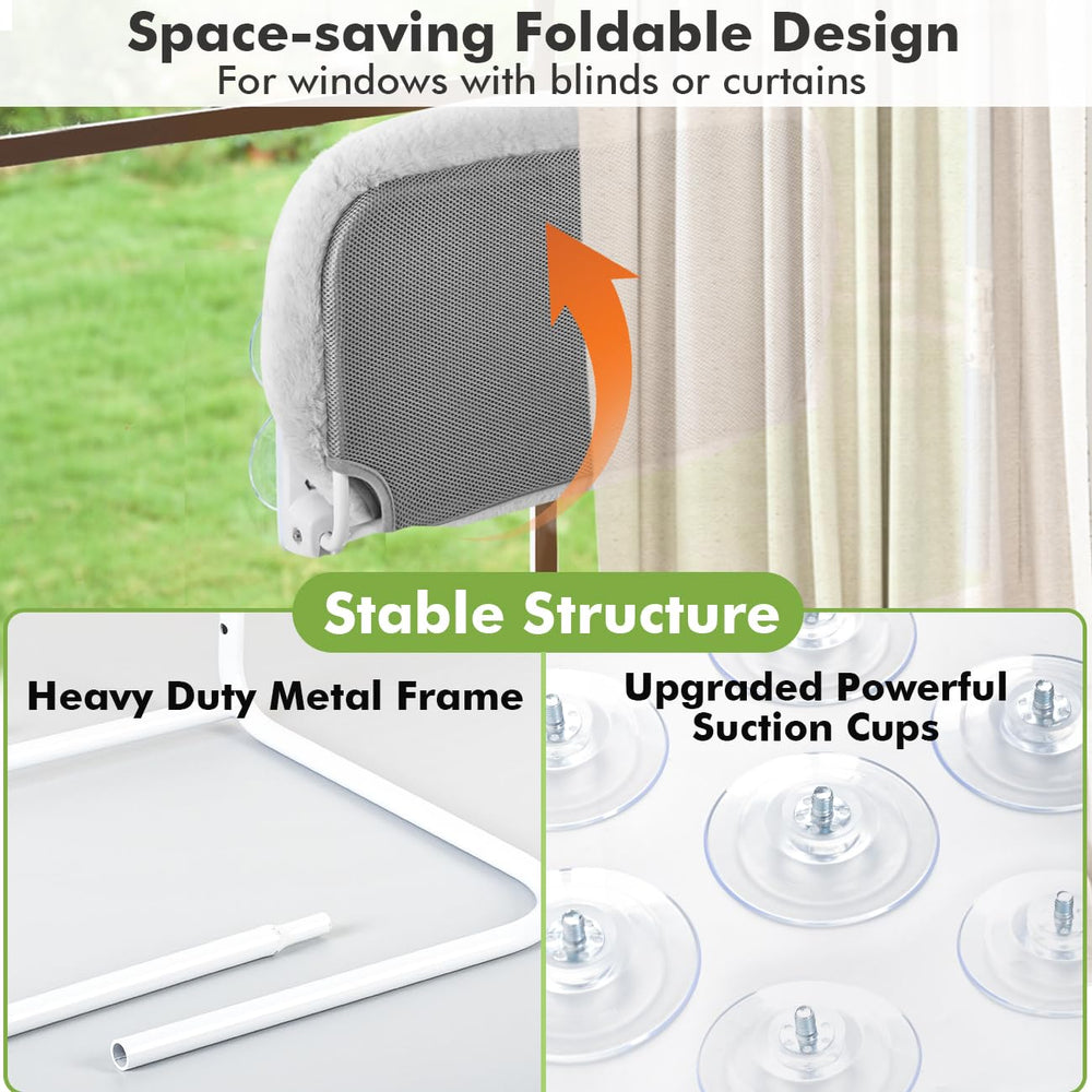 Zoratoo sunbathing window perch shows cat enjoying sun and view.