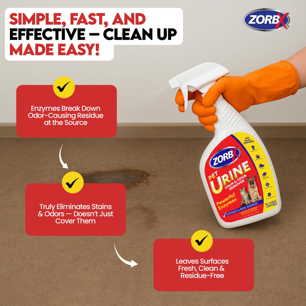 ZORBX enzymatic odor remover couch image highlights quick freshening after pet accidents
