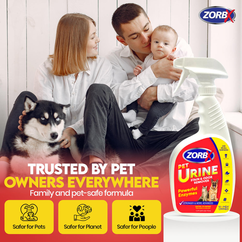 ZORBX upholstery stain remover urine focus helps couches look newer