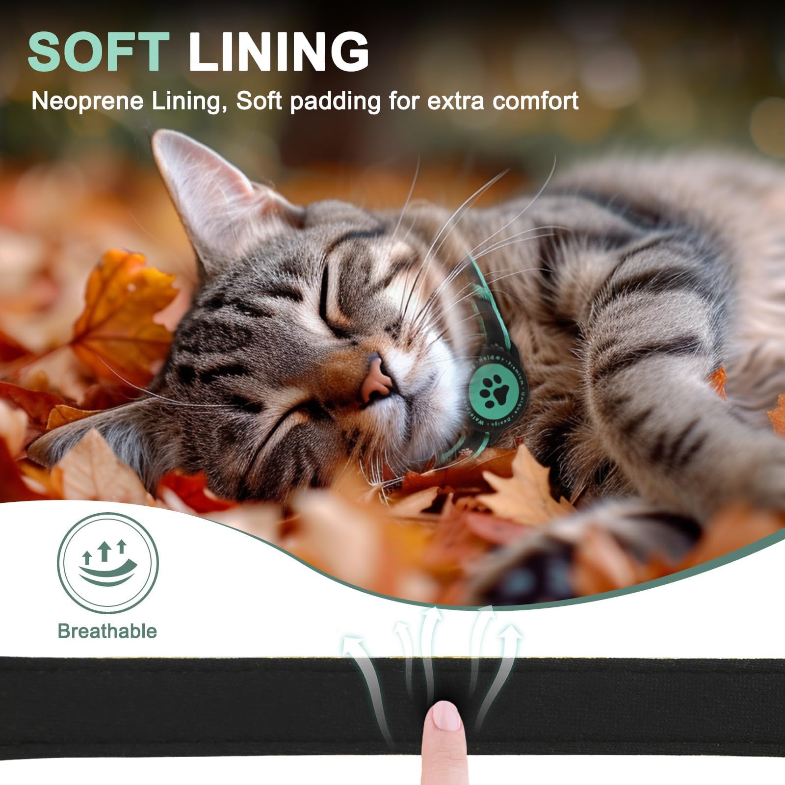 ZOWPET padding closeup shows soft interior for comfort