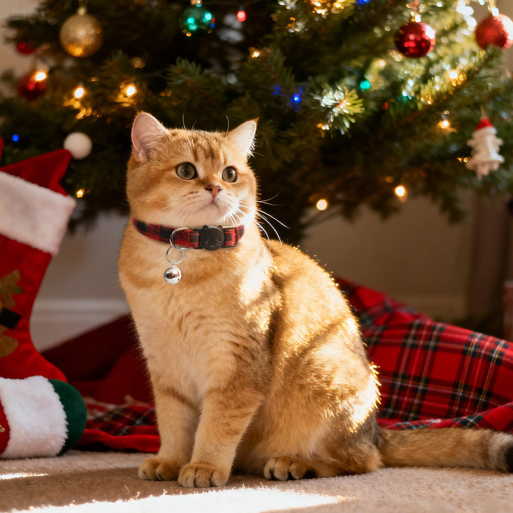 ZOWPET adjustable strap close-up highlighting lightweight comfort.