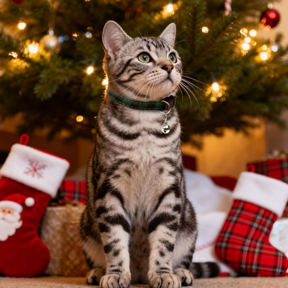 ZOWPET collar bell close-up highlighting gentle jingling for visibility.