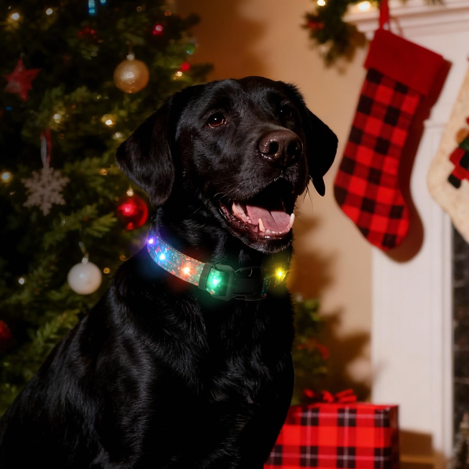 ZOWPET glow-in-dark collar enhances holiday photos and memories.