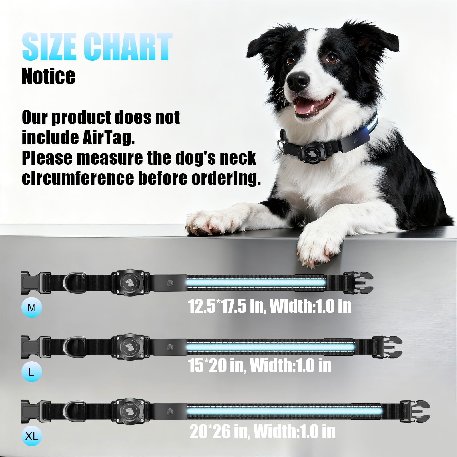 ZOWPET LED AirTag Dog Collar night walk shows enhanced safety and tracking confidence.