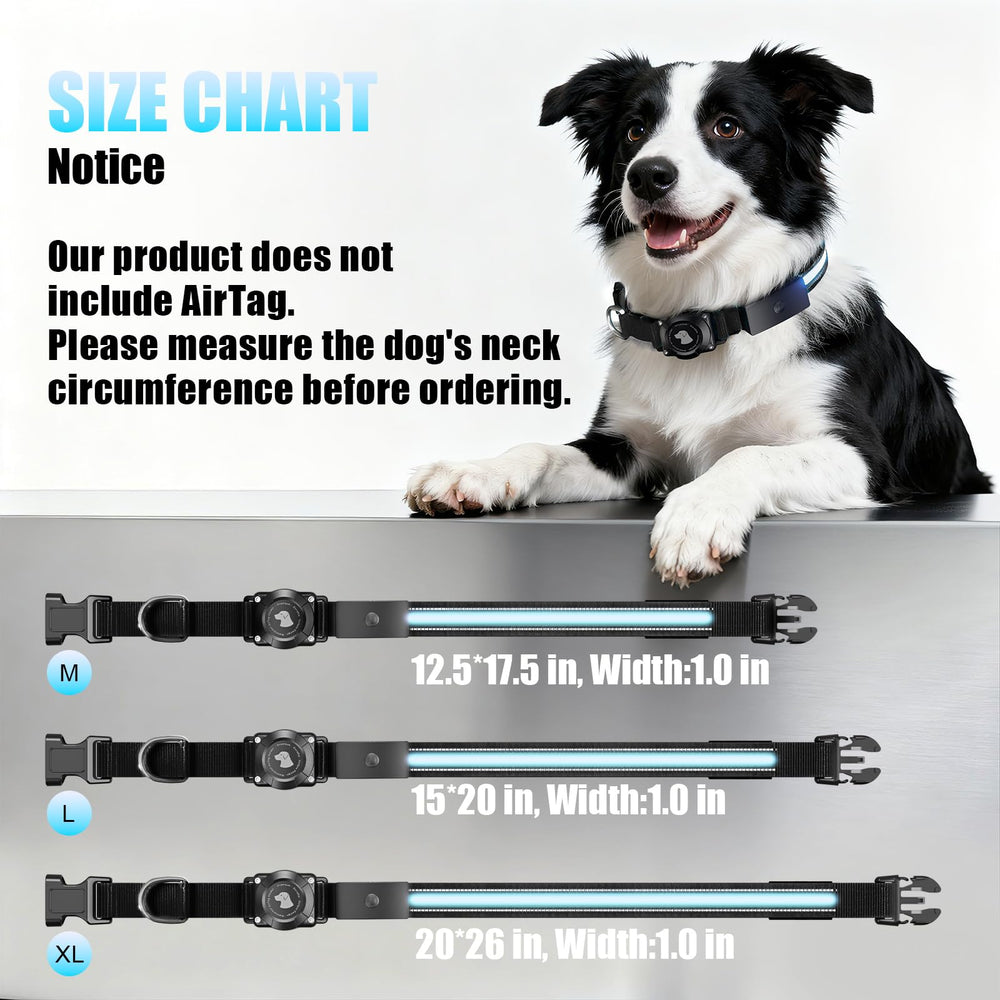 ZOWPET LED AirTag Dog Collar night walk shows enhanced safety and tracking confidence.