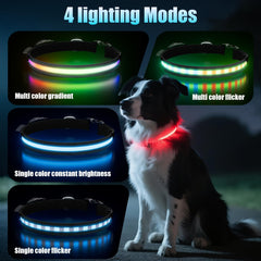 ZOWPET LED AirTag Dog Collar waterproof enclosure protects AirTag and lights during play.