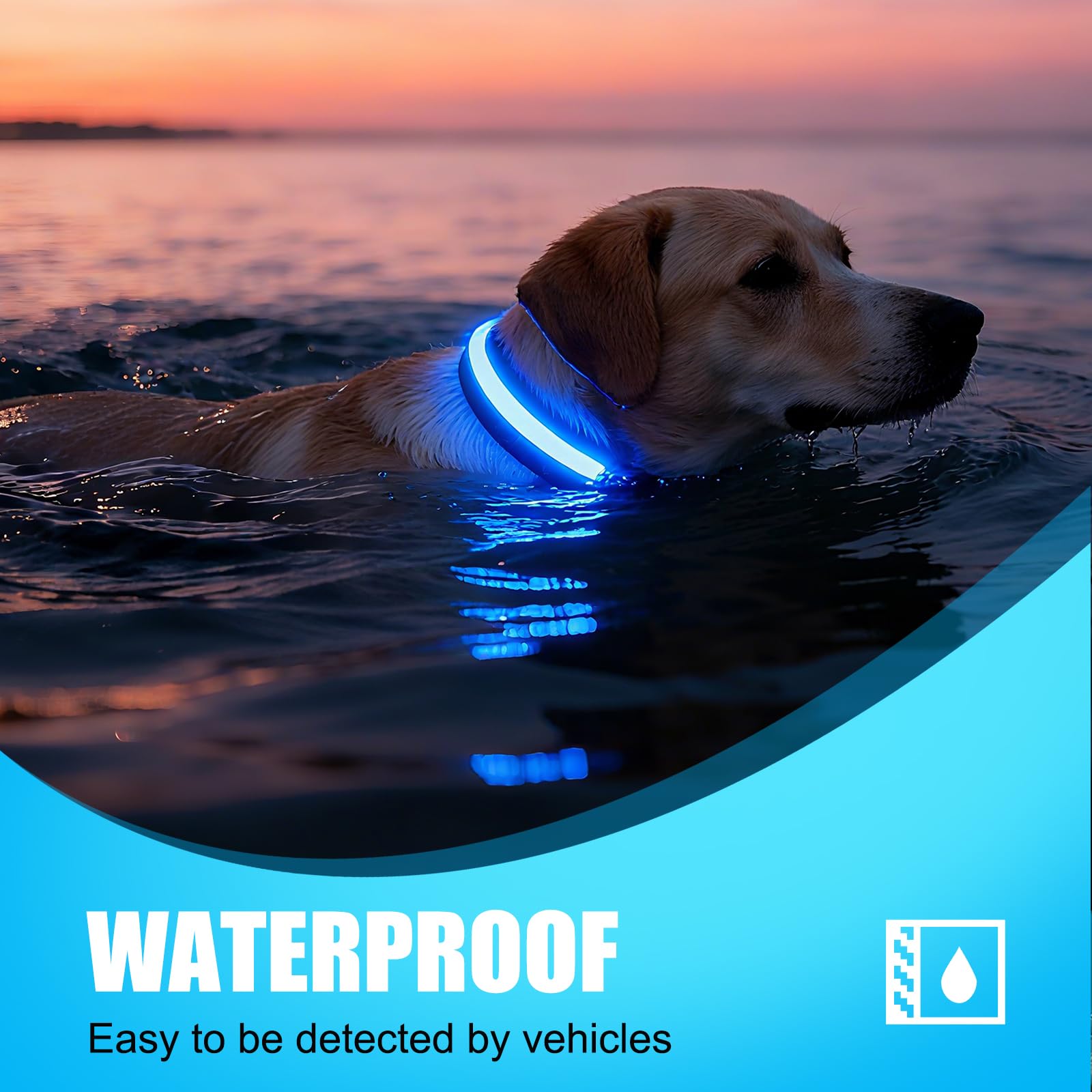 ZOWPET LED dog collar blue 360-degree glow enhances visibility at dusk.