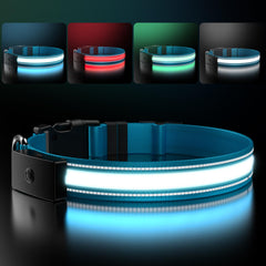 ZOWPET LED dog collar blue front-lit for safer night walks.