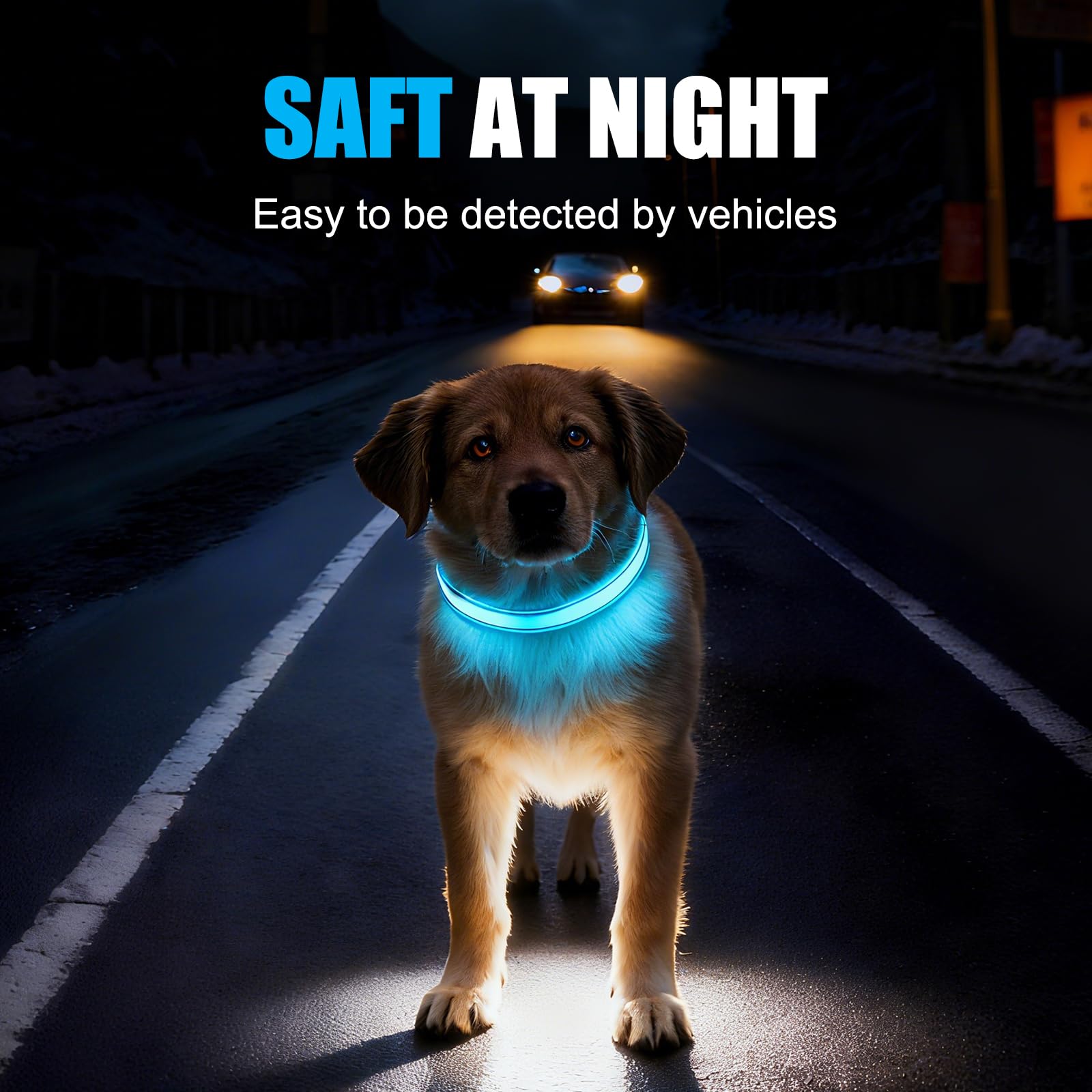 ZOWPET LED dog collar supports safe night-walks with clear visibility.